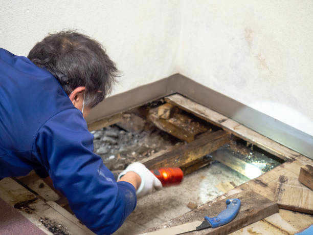 Best Bathroom Mold Remediation in Mount Angel, OR