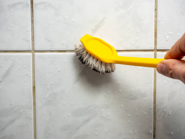  Mount Angel, OR Mold Removal Pros